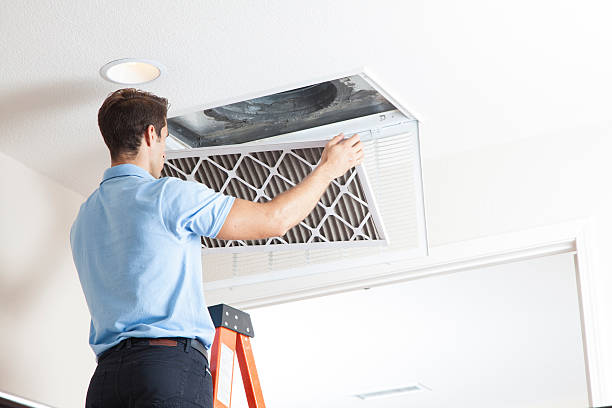 Best Residential HVAC services  in Lealman, FL
